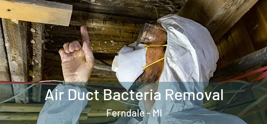  Air Duct Bacteria Removal Ferndale - MI