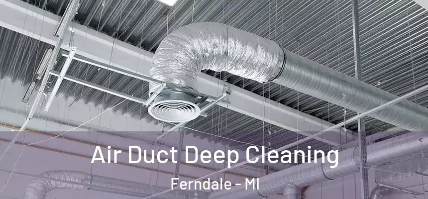 Air Duct Deep Cleaning Ferndale - MI