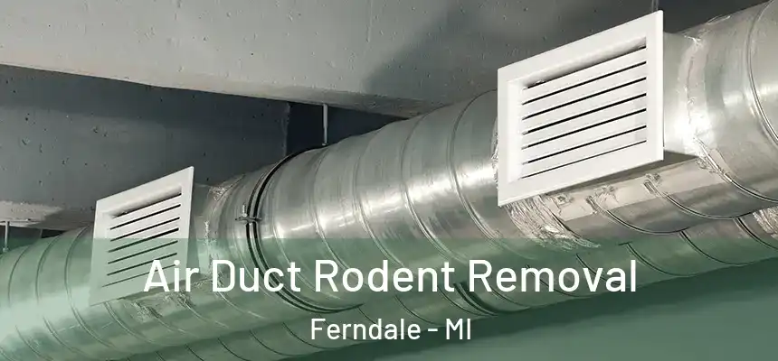  Air Duct Rodent Removal Ferndale - MI