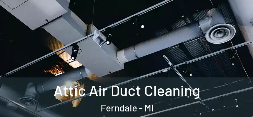 Attic Air Duct Cleaning Ferndale - MI
