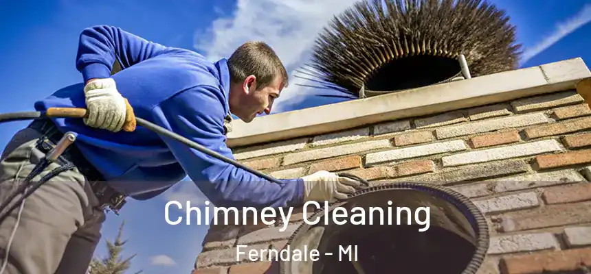 Chimney Cleaning Ferndale - MI