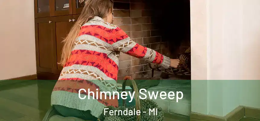 Chimney Sweep Ferndale - MI