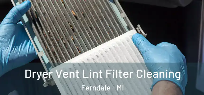 Dryer Vent Lint Filter Cleaning Ferndale - MI