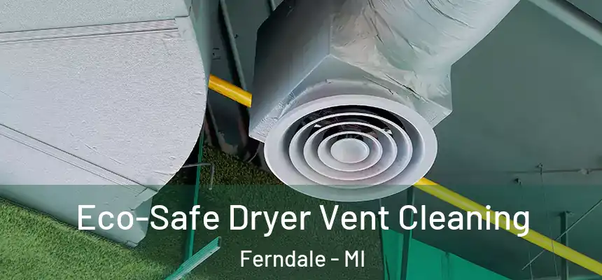 Eco-Safe Dryer Vent Cleaning Ferndale - MI