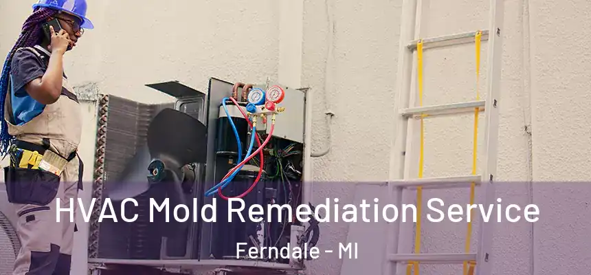  HVAC Mold Remediation Service Ferndale - MI