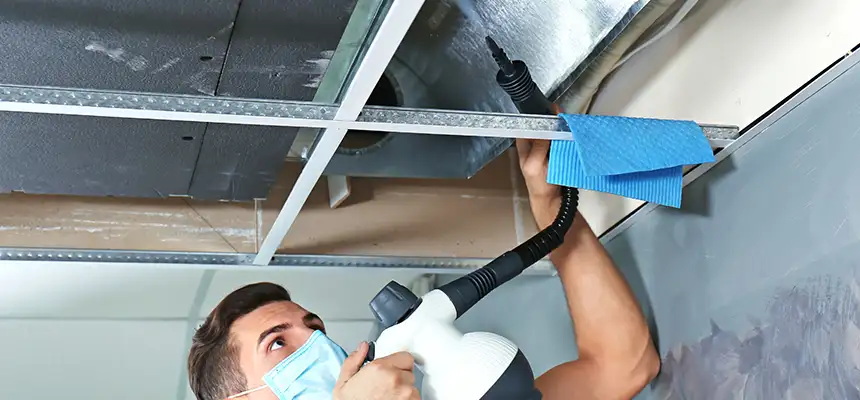 Our Air Duct Rodent Removal Services in Ferndale, MI