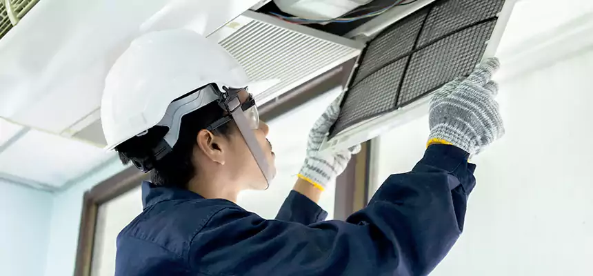 Our Mold & Mildew Removal from Air Ducts Services in Ferndale, MI