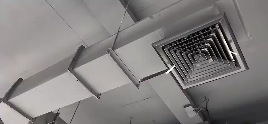 Our Pest Removal From Ducts Services in Ferndale, MI