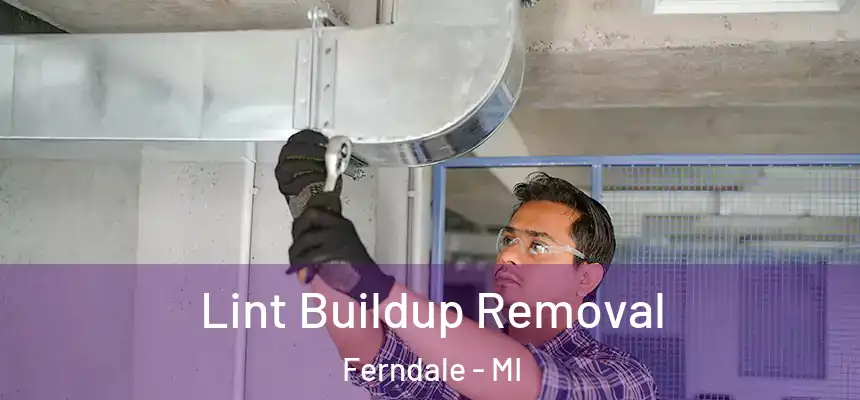  Lint Buildup Removal Ferndale - MI