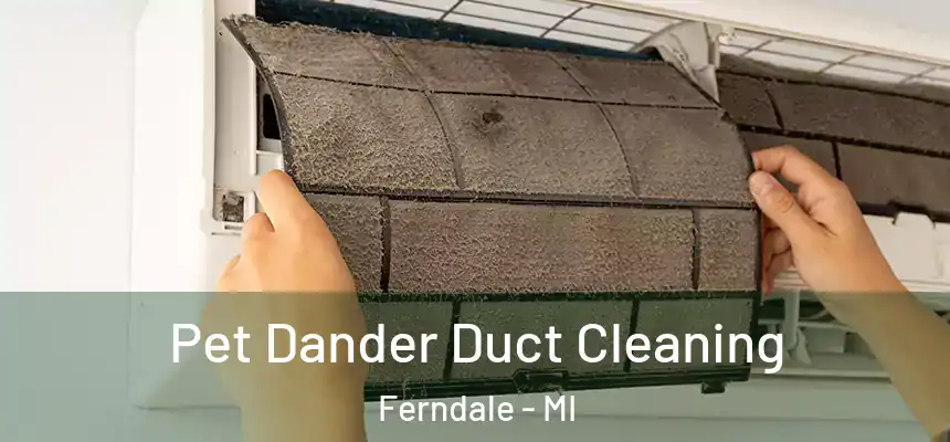 Pet Dander Duct Cleaning Ferndale - MI