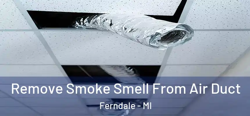  Remove Smoke Smell From Air Duct Ferndale - MI
