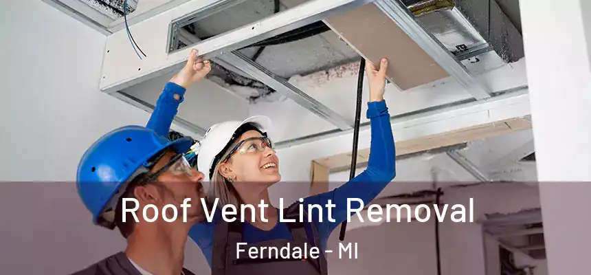  Roof Vent Lint Removal Ferndale - MI