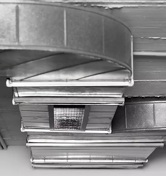 Professional Air Duct Pest Removal in Ferndale, MI