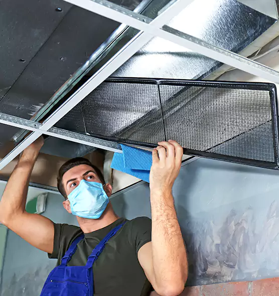Professional Air Duct Pollen Cleaning in Ferndale, MI