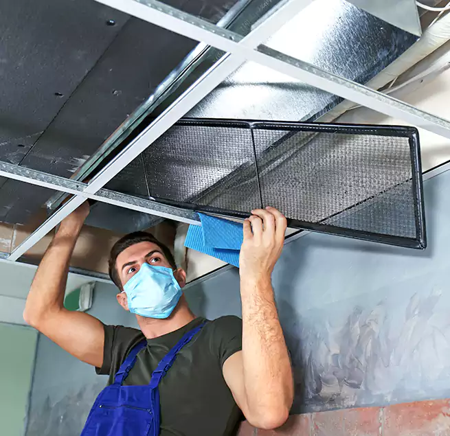 Why Homeowners Businesses Trust Us in Ferndale, MI