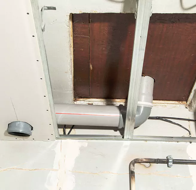 Why Homeowners & Businesses Trust Us in Ferndale, MI?