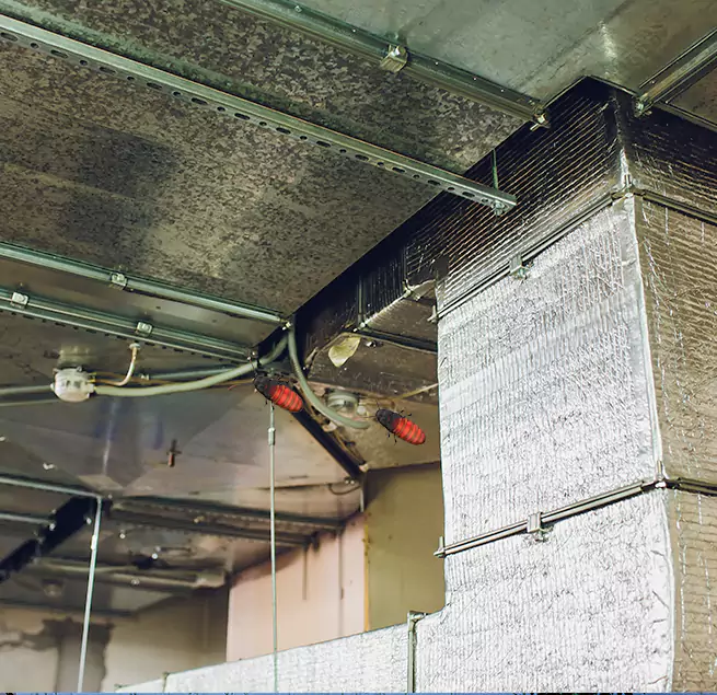 Why Homeowners & Businesses Trust Us Ferndale, MI?