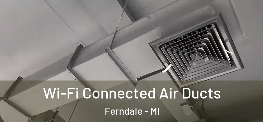  Wi-Fi Connected Air Ducts Ferndale - MI